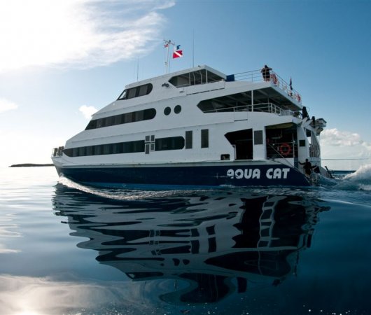 aquarev-plongee-sous-marine-croisiere-bahamas-bateau-aquacat-bateau