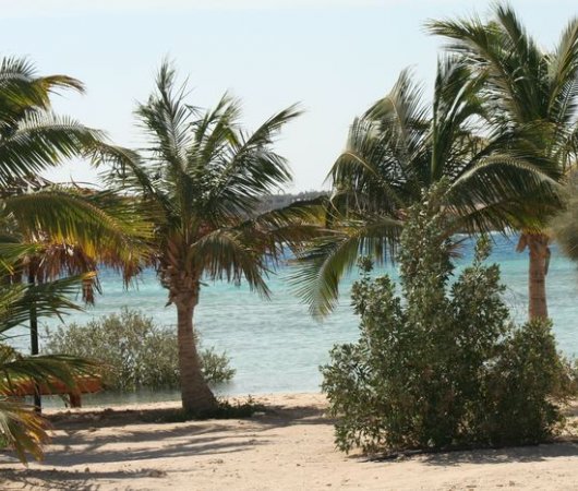 aquarev-plongee-sous-marine-egypte-el-quseir-sejour-hotel-mangrove-bay-plage