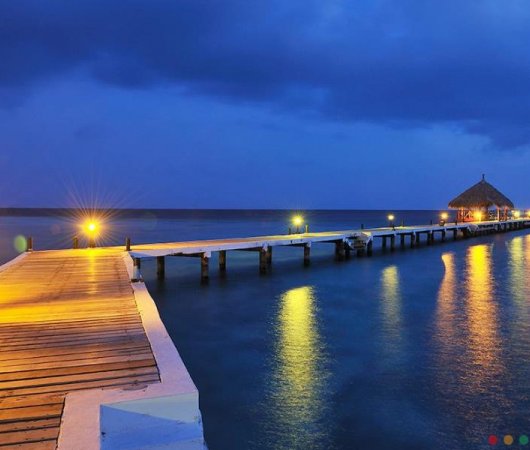 aquarev-plongee-sous-marine-maldives-atoll-male-nord-sejour-hotel-eriyadu-island-resort-ponton-nuit