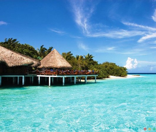 aquarev-plongee-sous-marine-maldives-atoll-male-nord-sejour-hotel-eriyadu-island-resort-vue-mer-bar-sur-pilotis