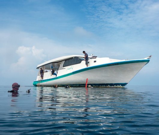 aquarev-plongee-sous-marine-maldives-croisiere-bateau-emperor-maldives-dhoni