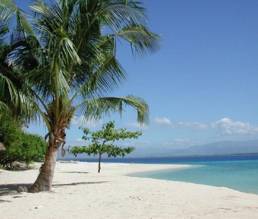 aquarev-plongee-sous-marine-philippines-mindoro-sejour-pandan-island-plage-palmier