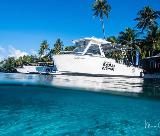 aquarev-plongee-sous-marine-polynesie-boara-bora-eleuthera-bateaux-resultat