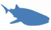 Baleines