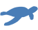 Tortues