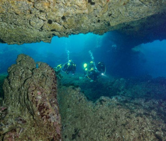 aquarev-croisiere-plongee-sous-marine-acores-sail-dive-plongee-7-arches