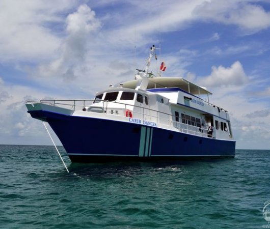 aquarev-plongee-sous-marine-bahamas-croisiere-bateau-carib-dancer-aggressor-fleet-resultat