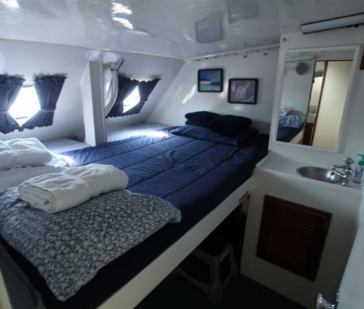 aquarev-plongee-sous-marine-bahamas-croisiere-cat-ppalu-catamaran-cabine-lit-double-2