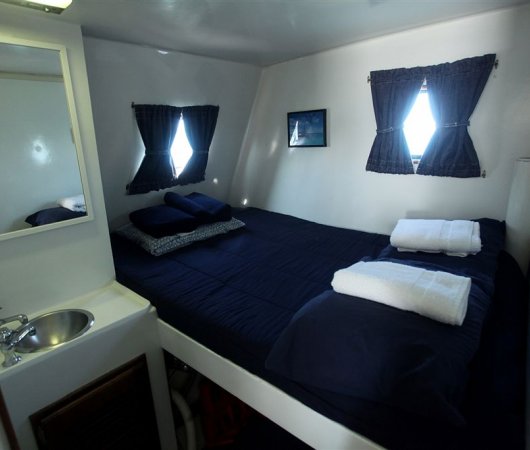 aquarev-plongee-sous-marine-bahamas-croisiere-cat-ppalu-catamaran-cabine-lit-double