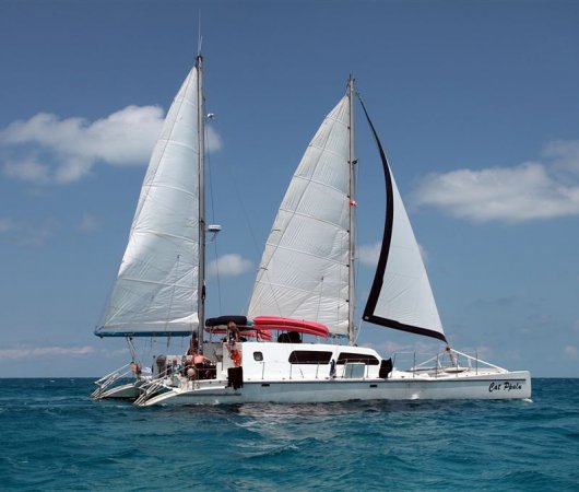aquarev-plongee-sous-marine-bahamas-croisiere-cat-ppalu-catamaran-vue-profil