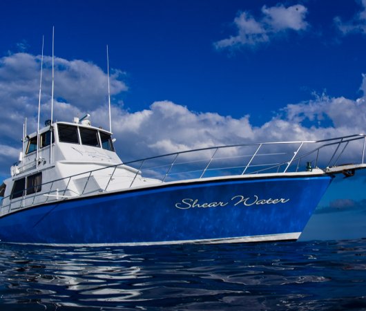 aquarev-plongee-sous-marine-bahamas-croisiere-shear-water-bateau