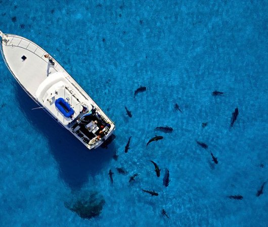aquarev-plongee-sous-marine-bahamas-croisiere-shear-water-vue-aerienne-resultat