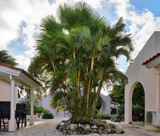 aquarev-plongee-sous-marine-caraibes-sejour-bonaire-hamlet-oasis-resort-terrasses