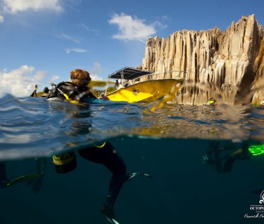 aquarev-plongee-sous-marine-centre-de-plongee-octopus-praslin-bateau-plongee.jpeg