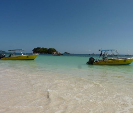 aquarev-plongee-sous-marine-centre-de-plongee-octopus-praslin-bateau.jpeg