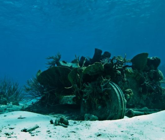aquarev-plongee-sous-marine-croisiere-bahamas-bateau-aquacat-reef