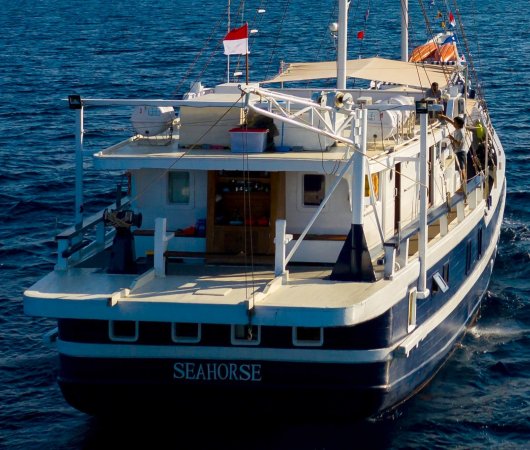aquarev-plongee-sous-marine-croisiere-indonesie-seahorse-wallacea-bateau-arriere02