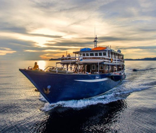 aquarev-plongee-sous-marine-croisiere-indonesie-wallacea-bateau-ambai-profil01-resultat