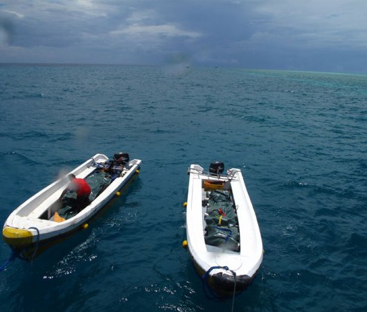 aquarev-plongee-sous-marine-croisiere-philippines-seadoors-zodiacs