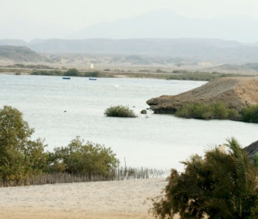 aquarev-plongee-sous-marine-egypte-el-quseir-sejour-hotel-mangrove-bay-vue-baie-mangrove