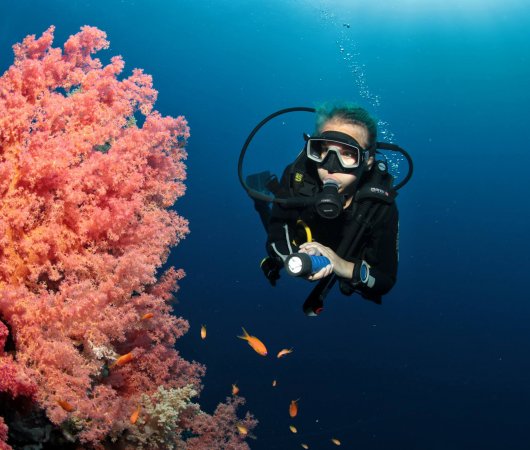 aquarev-plongee-sous-marine-egypte-marsa-alam-sejour-centre-de-plongee-tgi-diving-international-plongeuse-corail