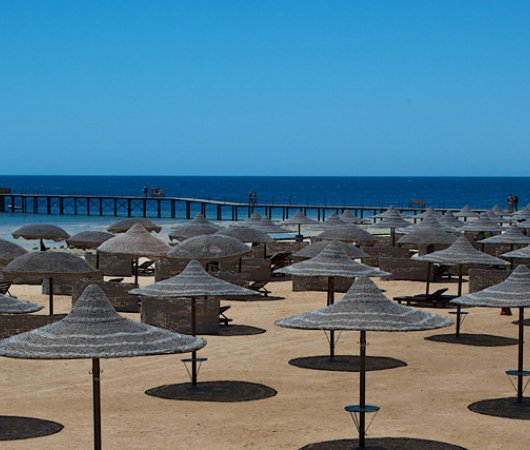 aquarev-plongee-sous-marine-egypte-sejour-marsa-alam-hotel-gorgonia-beach-resort-plage-parasols