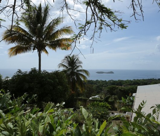 aquarev-plongee-sous-marine-guadeloupe-sejour-hotel-le-jardin-tropical-villa-creole-vue-sur-la-mer