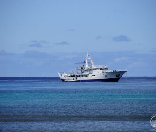 aquarev-plongee-sous-marine-iles-cocos-croisiere-bateau-okeanos-aggressor-fleet-2-resultat