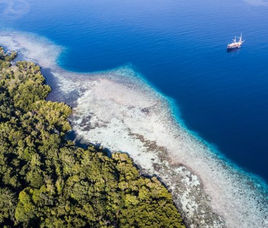 aquarev-plongee-sous-marine-indonesie-croisiere-dune-bateau-aurora-vue-bateau-plage-resultat