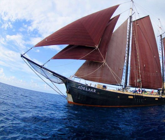 aquarev-plongee-sous-marine-indonesie-komodo-bali-croisiere-dive-and-cruise-adelaar-bateau