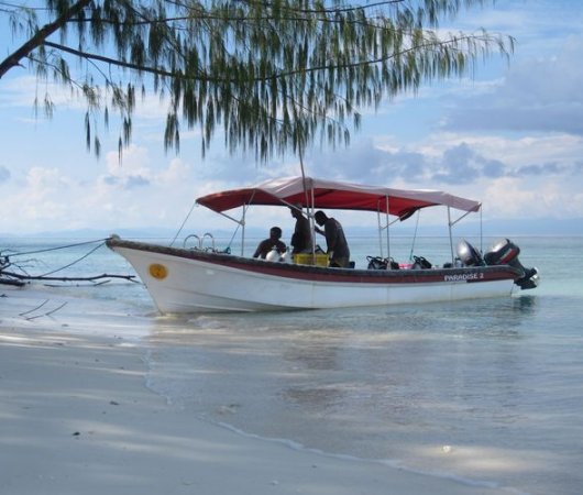 aquarev-plongee-sous-marine-indonesie-raja-ampat-sejour-centre-de-plongee-gangga-divers-speed-boat-plage-resultat