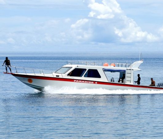 aquarev-plongee-sous-marine-indonesie-raja-ampat-sejour-centre-de-plongee-gangga-divers-speed-boat1-resultat