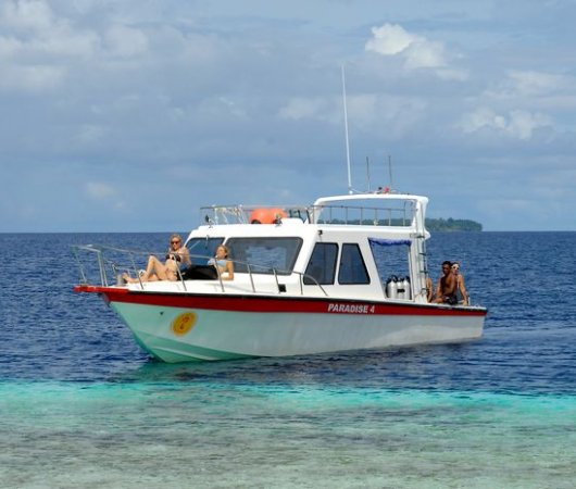 aquarev-plongee-sous-marine-indonesie-raja-ampat-sejour-centre-de-plongee-gangga-divers-speed-boat2-resultat