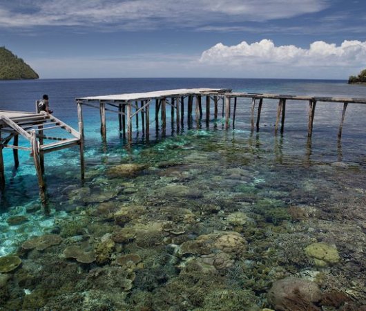 aquarev-plongee-sous-marine-indonesie-raja-ampat-sejour-centre-de-plongee-gangga-divers-yenuba-embarcadere-resultat