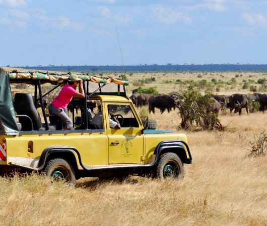 aquarev-plongee-sous-marine-kenya-sejour-extension-tsavo-east-satao-camp-4x4-safari