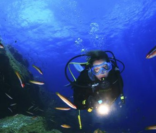 aquarev-plongee-sous-marine-les-acores-sejour-faial-centre-plongee-norberto-diver-resultat