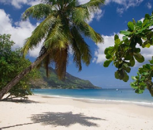 aquarev-plongee-sous-marine-les-seychelles-mahe-sejour-hotel-bord-mer-villa-plage-beau-vallon