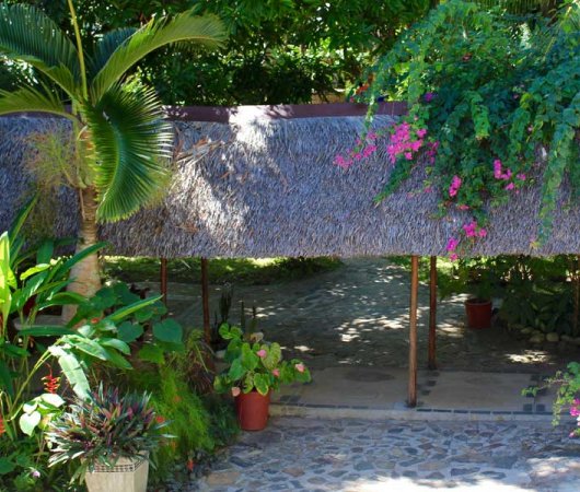 aquarev-plongee-sous-marine-madagascar-sejour-hotel-gerard-et-francine-vue-exterieure-bougainvilliers