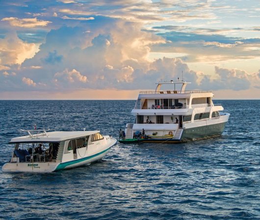 aquarev-plongee-sous-marine-maldives-croisiere-bateau-emperor-maldives-arriere-bateau-et-dhoni