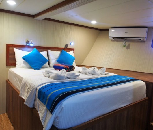 aquarev-plongee-sous-marine-maldives-croisiere-emperor-maldives-cabine4