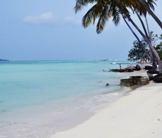 aquarev-plongee-sous-marine-maldives-maafushi-sejour-hotel-arena-lodge-plage-et-palmiers