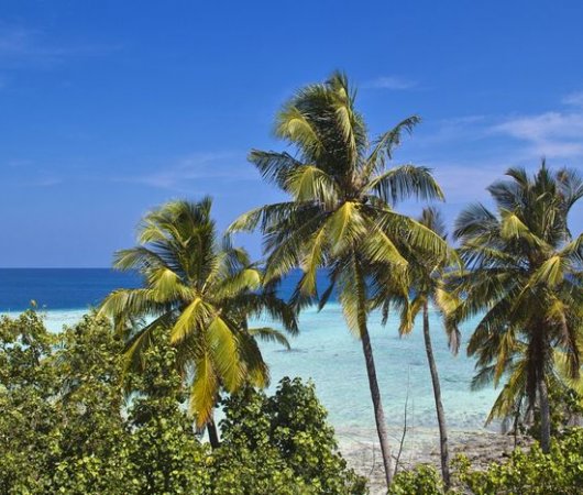 aquarev-plongee-sous-marine-maldives-sejour-hotel-arena-beach-and-spa-plage-mer-resultat