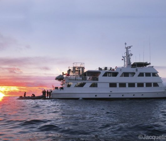 aquarev-plongee-sous-marine-mexique-soccoro-croisiere-nautilus-explorer-2-bateau-sunset