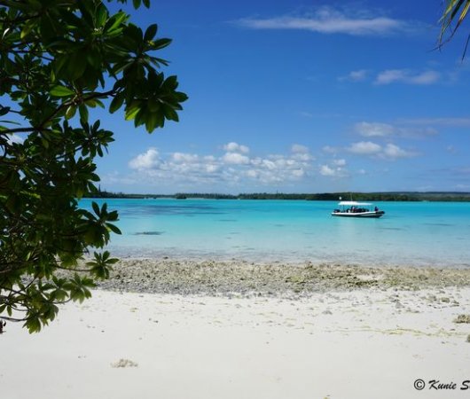 aquarev-plongee-sous-marine-nouvelle-caledonie-ile-des-pins-kunie-scuba-center-plagebis