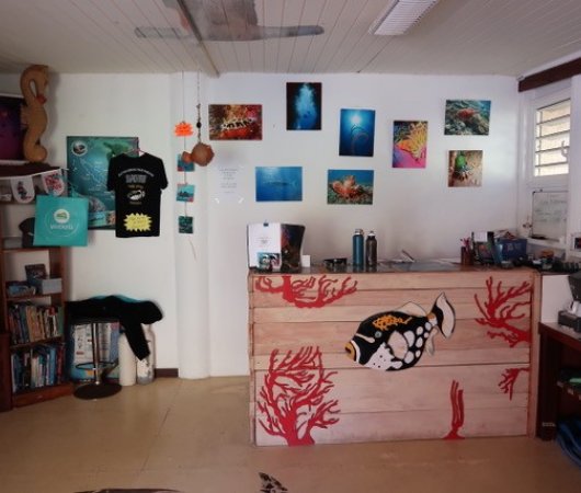 aquarev-plongee-sous-marine-nouvelle-caledonie-poindimie-sejour-centre-de-plongee-tieti-diving-centre-bureau