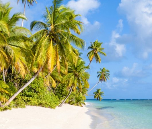 aquarev-plongee-sous-marine-ocean-indien-seychelles-alphonse-island-sejour-blue-safari-plage-cocotiers