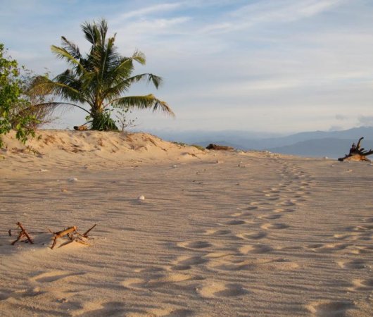 aquarev-plongee-sous-marine-philippines-mindoro-sejour-plage-de-sable