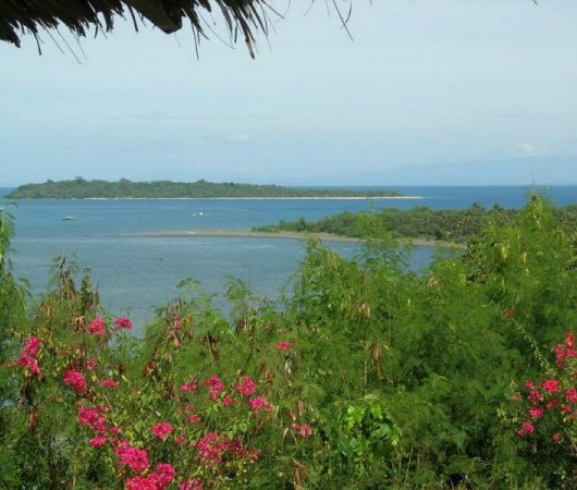 aquarev-plongee-sous-marine-philippines-mindoro-vue-mer-ve-ge-tation