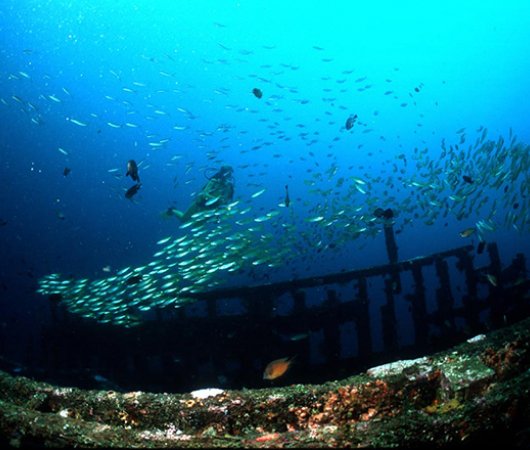 aquarev-plongee-sous-marine-philippines-puerto-galera-sejour-centre-plongee-asia-divers-e-paves1