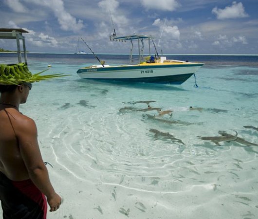 aquarev-plongee-sous-marine-polynesie-francaise-fakarava-sejour-pension-havaiki-lodge-lagon-requin-recif